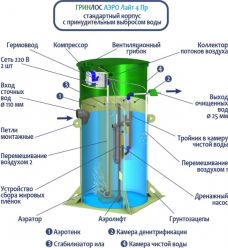 Гринлос Аэро Лайт 4 Пр