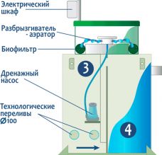 ГРИНЛОС Аква 6 Миди