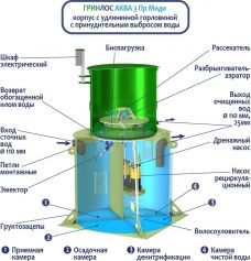 ГРИНЛОС Аква 3 Пр Миди