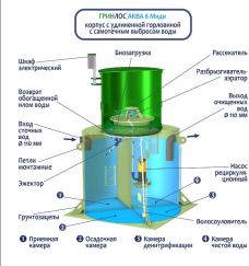 ГРИНЛОС Аква 6 Миди