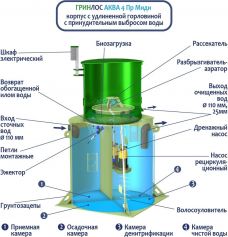 ГРИНЛОС Аква 4 Пр Миди