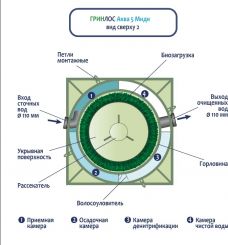 ГРИНЛОС Аква 5 Миди